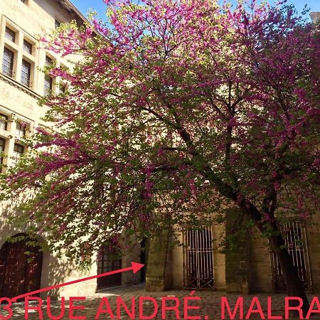 Appartement A 50 M De La Place Aux Herbes Uzes Bagian luar foto